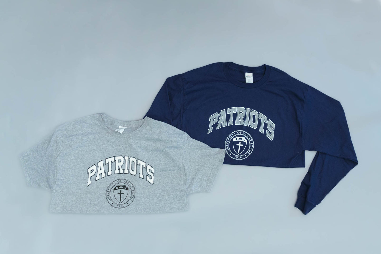 Hanes Tagless® Long-Sleeve T-Shirt (Deep Royal)